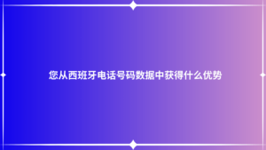 您从西班牙电话号码数据中获得什么优势